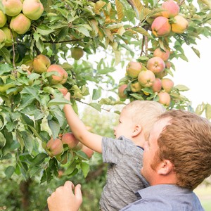 Man and son picking apples